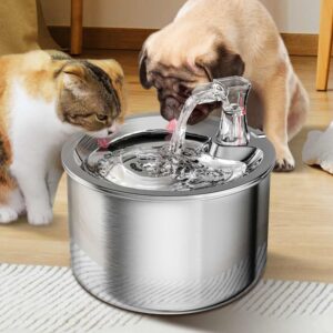 Cat Water Fountain Stainless Steel Inside Ultra Quiet Pump