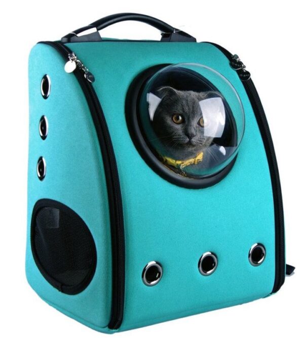 Colorful Cat Backpacks Feature Bubble Window for Traveling like an Astronaut