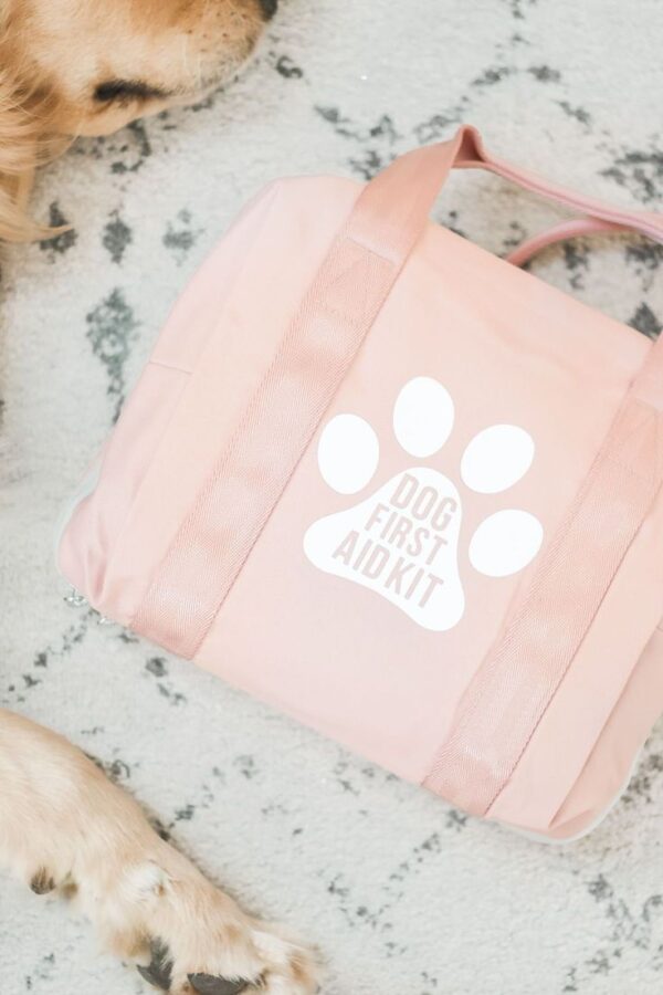 DIY Dog First Aid Kit Handy Gift Idea for Dog Mom